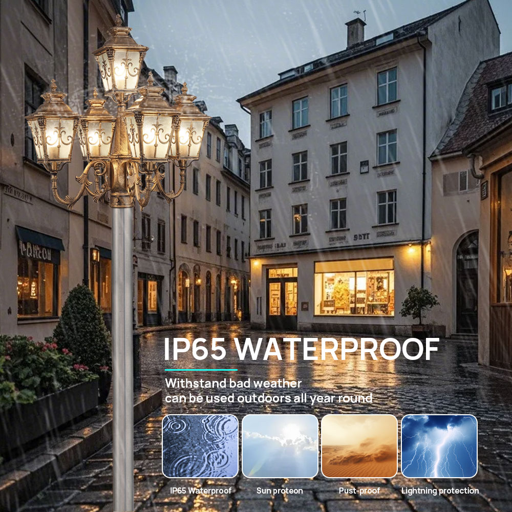 تخصيص في الهواء الطلق 5 رئيس ا - مراجعة Outdoor Lighting Pole وسعره