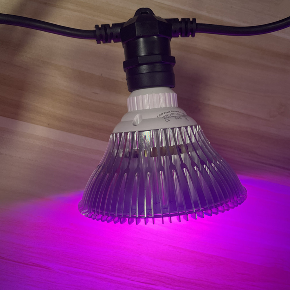 سلسلة إضاءة LED بطول 10 أمتار، - مراجعة Outdoor Lighting Gazebo وسعره